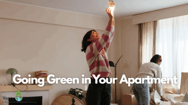 Going Green In Your Apartment