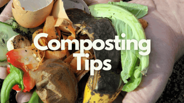 composting