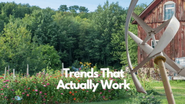 Trends 2025 That Actually Work