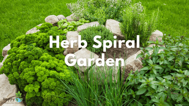 herb Spiral